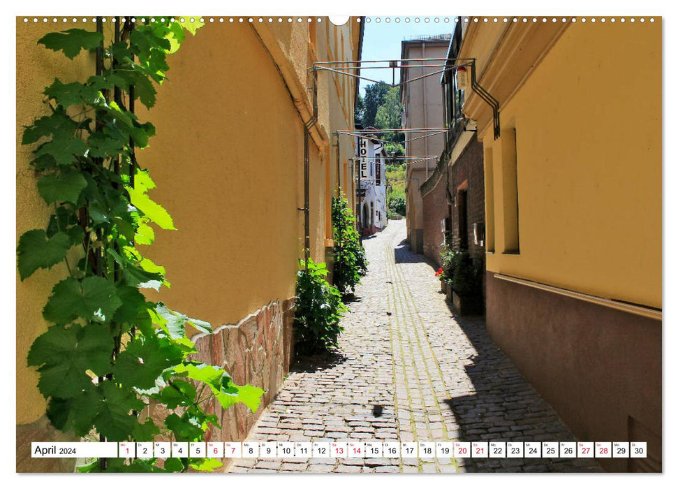 Bingen am Rhein vom Frankfurter Taxifahrer Petrus Bodenstaff (CALVENDO Premium Wandkalender 2024)