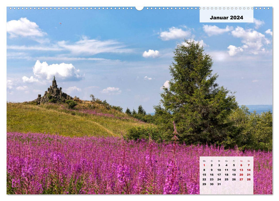 Rhöner Röschen - ein Sommermärchen in der Hochrhön (CALVENDO Premium Wandkalender 2024)