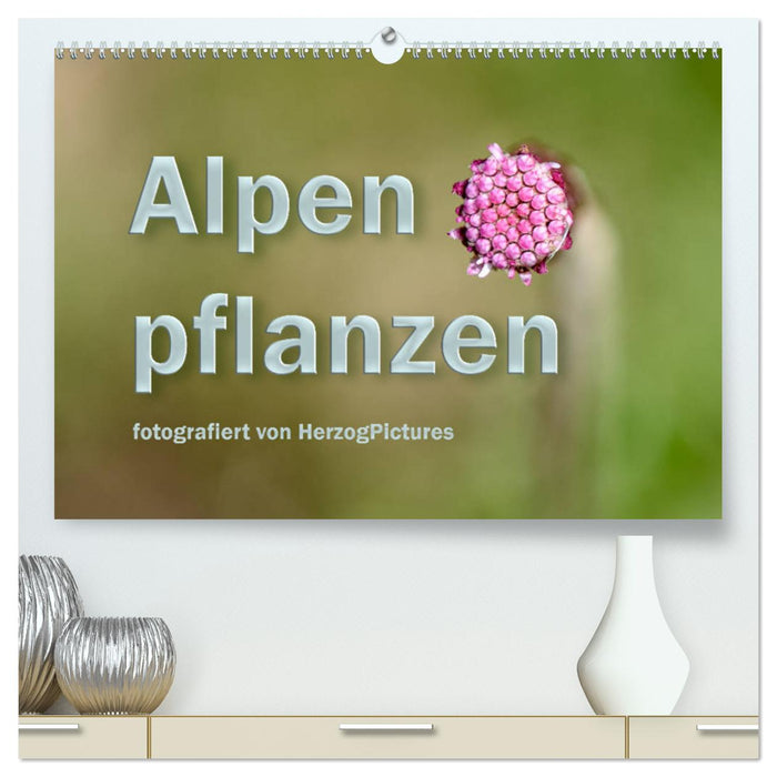 Plantes alpines photographiées par HerzogPictures (Calendrier mural CALVENDO Premium 2024) 