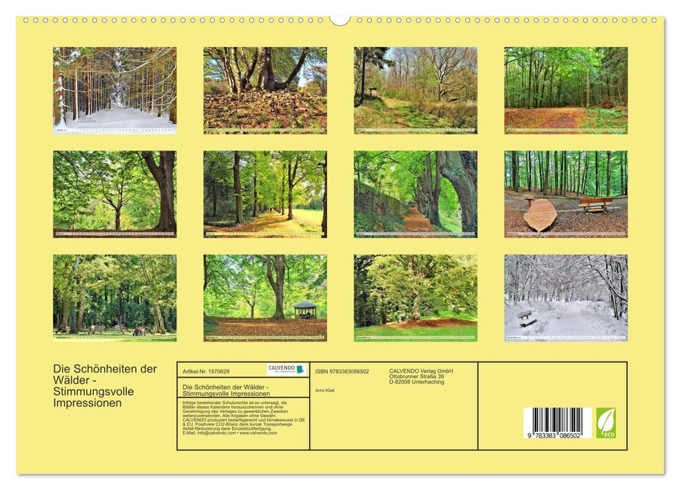 Die Schönheiten der Wälder - Stimmungsvolle Impressionen (CALVENDO Premium Wandkalender 2024)