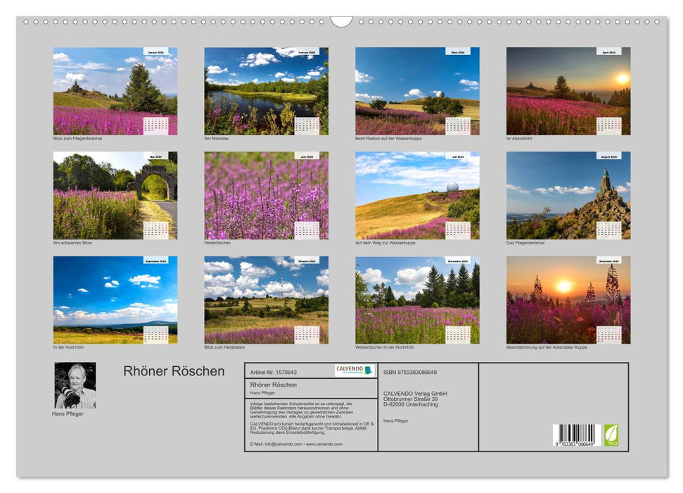Rhöner Röschen - ein Sommermärchen in der Hochrhön (CALVENDO Wandkalender 2024)