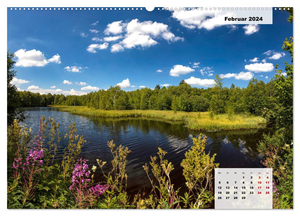 Rhöner Röschen - ein Sommermärchen in der Hochrhön (CALVENDO Wandkalender 2024)