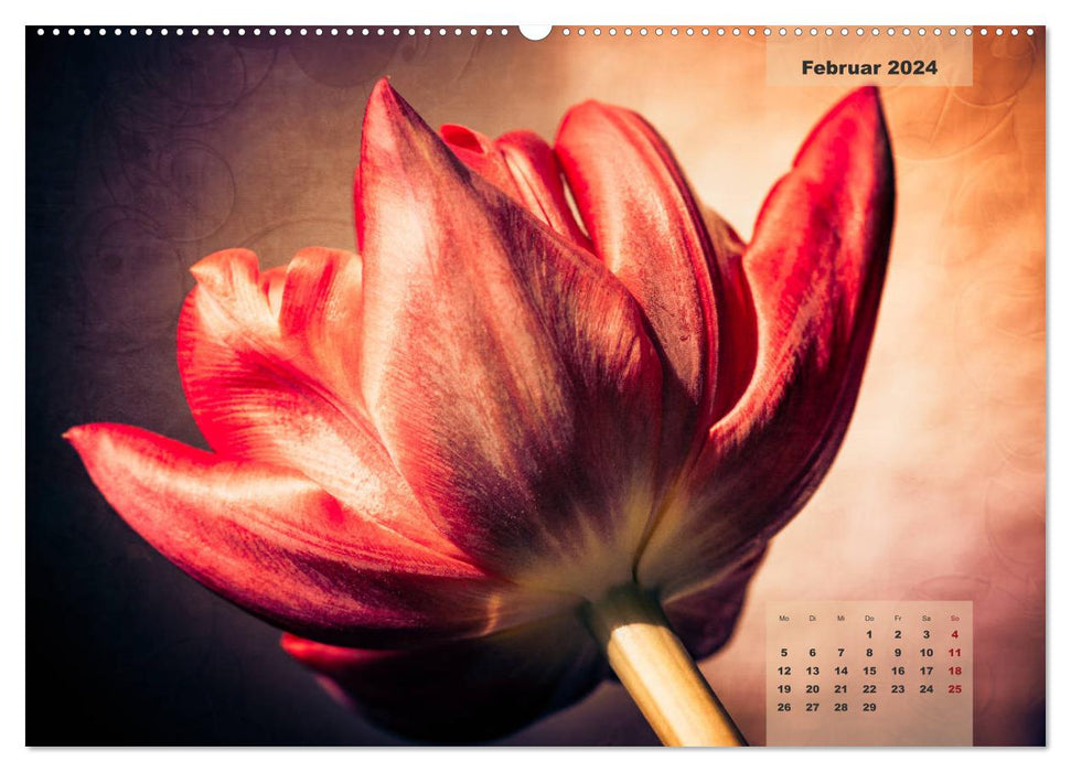Blüten im Retro-Style (CALVENDO Premium Wandkalender 2024)