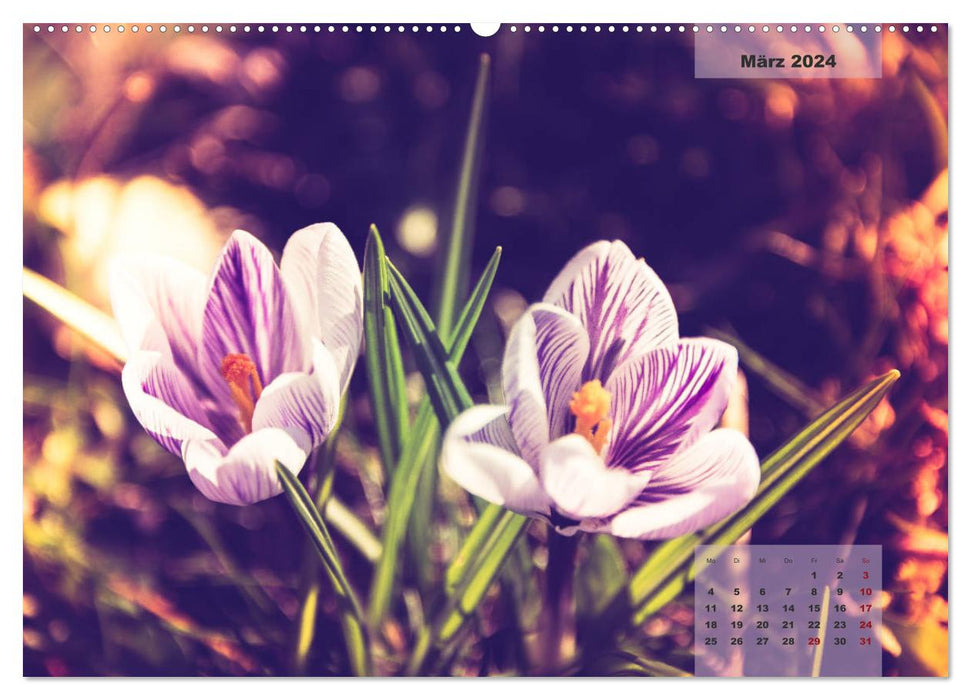Blüten im Retro-Style (CALVENDO Premium Wandkalender 2024)