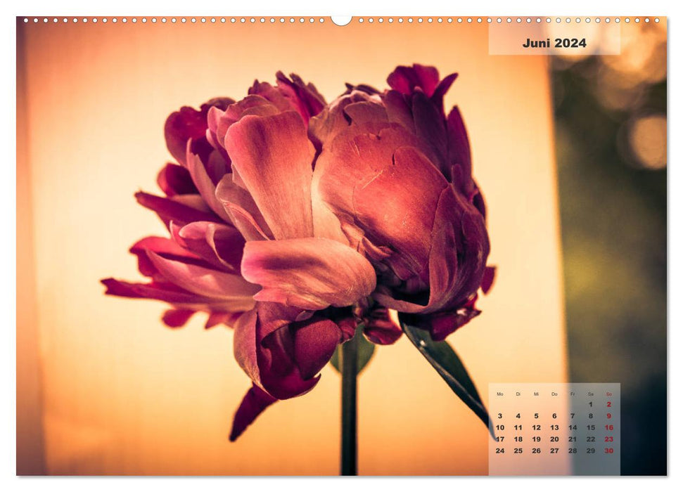 Blüten im Retro-Style (CALVENDO Wandkalender 2024)