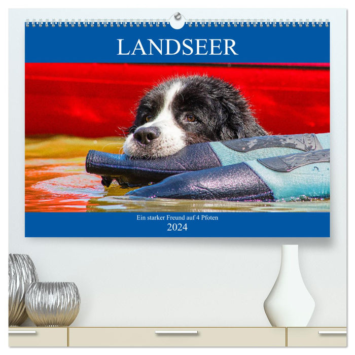 Landseer - Ein starker Freund auf 4 Pfoten (CALVENDO Premium Wandkalender 2024)