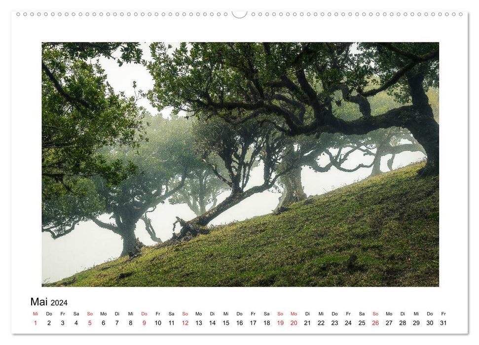 Der Reiz der Landschaft (CALVENDO Premium Wandkalender 2024)