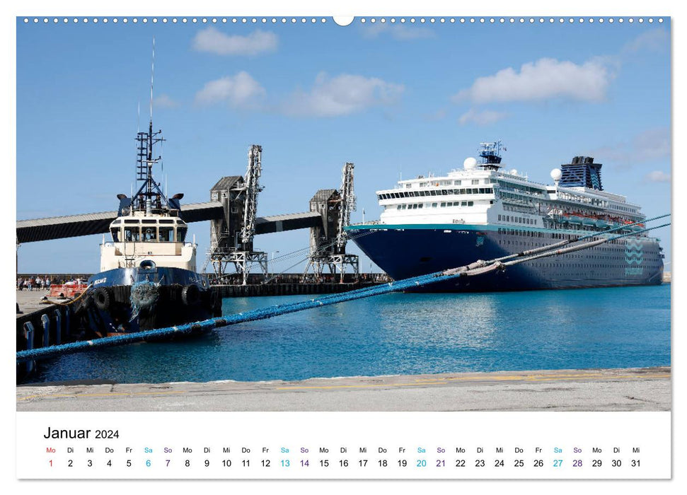 Riesen der Meere - Kreuzfahrtschiffe (CALVENDO Premium Wandkalender 2024)