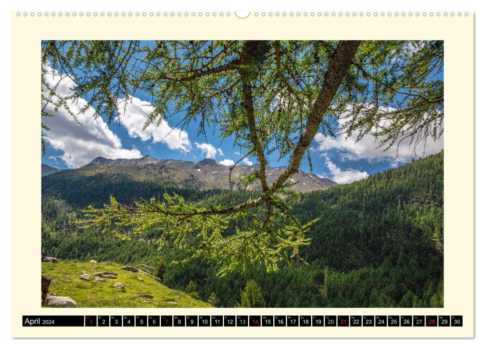 SÜDTIROL-Schnalstal (CALVENDO Premium Wandkalender 2024)