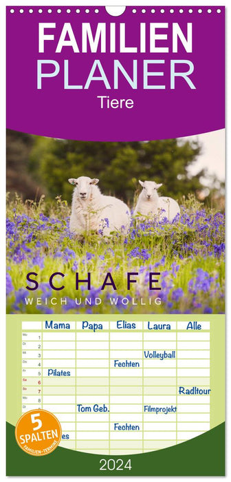 Schafe - Weich und wollig (CALVENDO Familienplaner 2024)