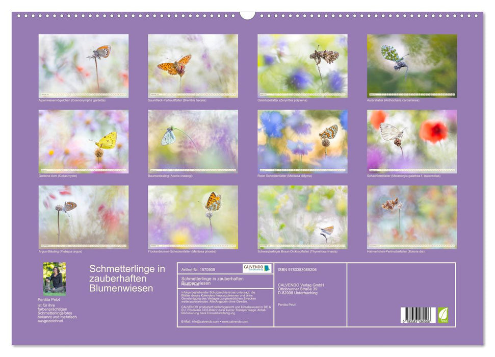 Schmetterlinge in zauberhaften Blumenwiesen (CALVENDO Wandkalender 2024)