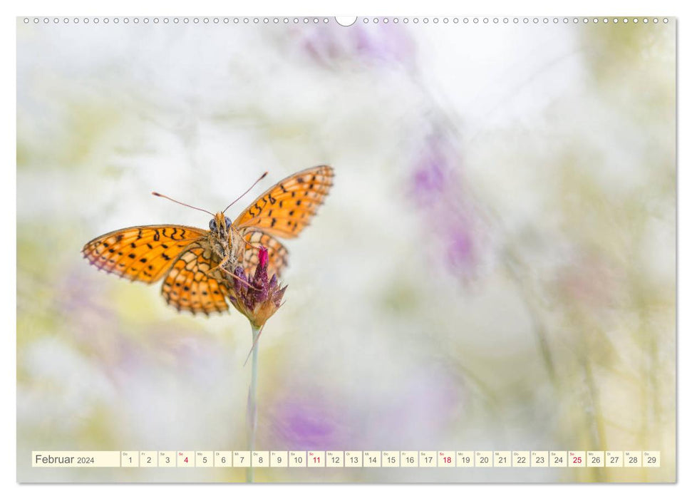 Schmetterlinge in zauberhaften Blumenwiesen (CALVENDO Wandkalender 2024)
