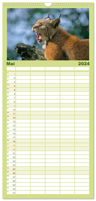 Tiere des Waldes (CALVENDO Familienplaner 2024)