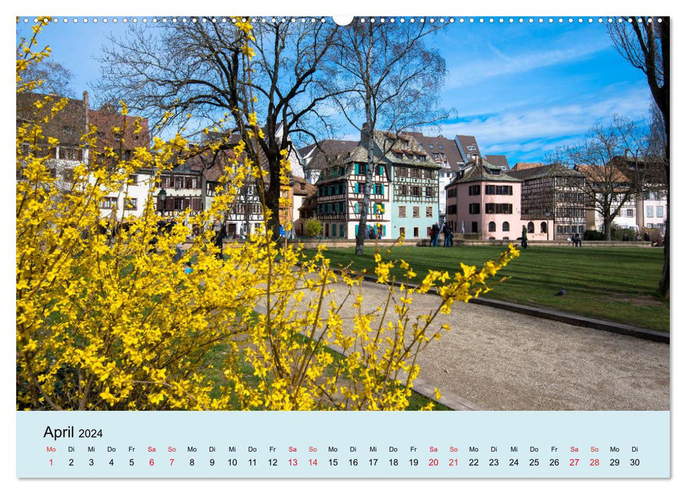 Elsass- und Vogesenträume (CALVENDO Premium Wandkalender 2024)
