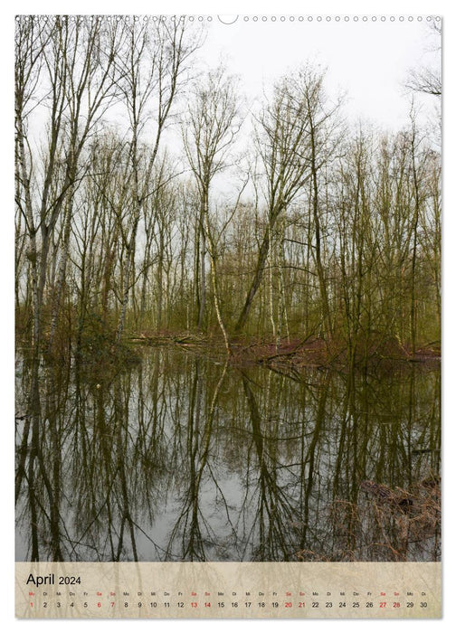 Faszination Hochwasser - Urdenbacher Kämpe (CALVENDO Premium Wandkalender 2024)