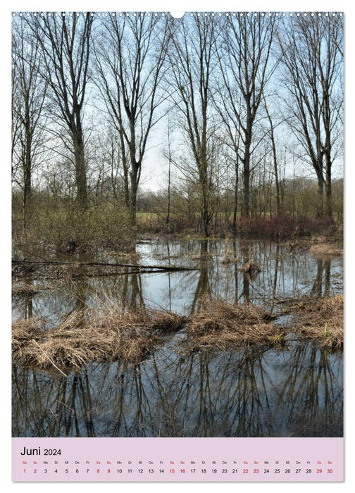 Faszination Hochwasser - Urdenbacher Kämpe (CALVENDO Premium Wandkalender 2024)