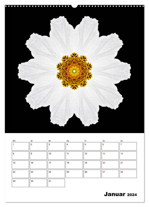 Blumenkunst - mandala-art (CALVENDO Premium Wandkalender 2024)