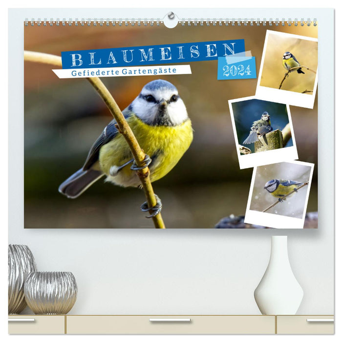 Gefiederte Gartengäste, Blaumeisen (CALVENDO Premium Wandkalender 2024)