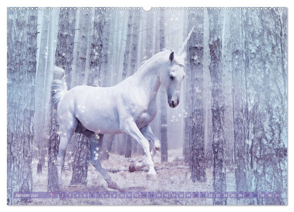 Unicorn Love - Fantasy World (Calvendo Premium Calendrier mural 2024) 