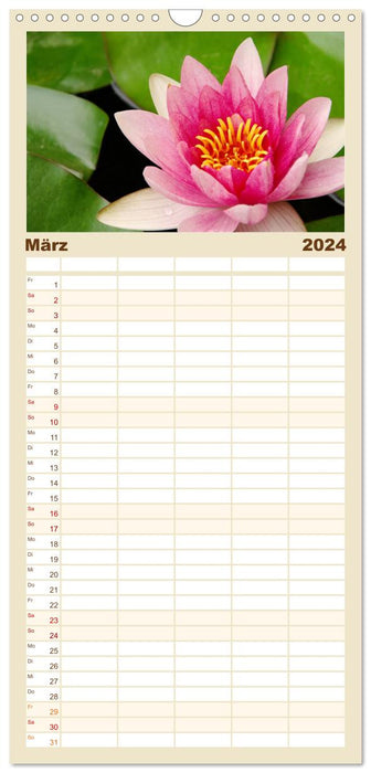 Blütenträume in Rosa und Pink (CALVENDO Familienplaner 2024)