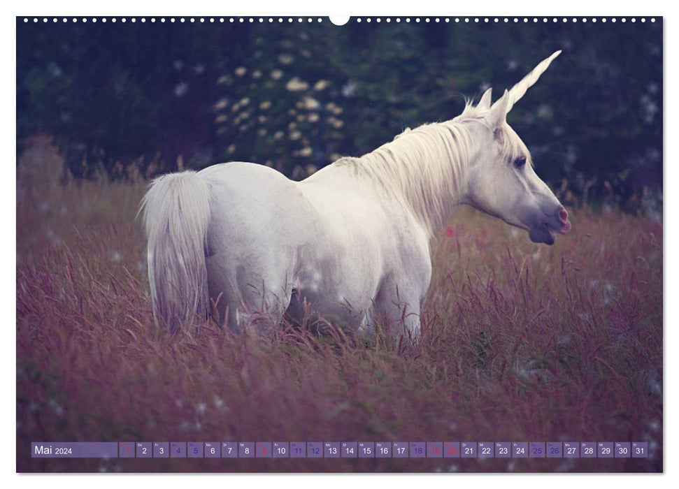 Licorne Amour - Monde Fantastique (Calvendo Mur Calendrier 2024) 