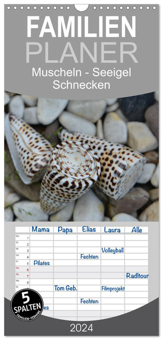 Maisons des Mers : Coquillages - Oursins - Escargots (Agenda familial CALVENDO 2024) 