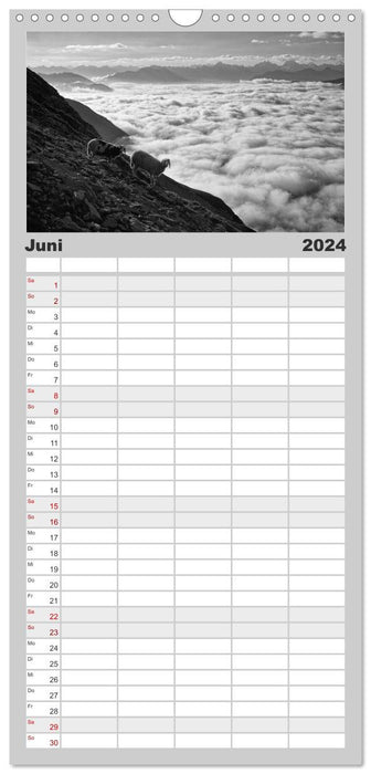Dépendance à la montagne 2024 (Planificateur familial CALVENDO 2024) 