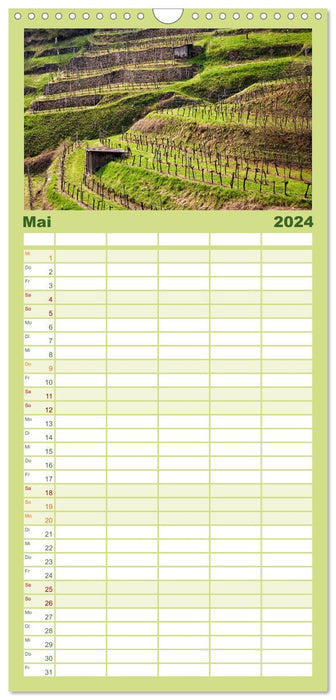 Strukturen im Weinbau (CALVENDO Familienplaner 2024)