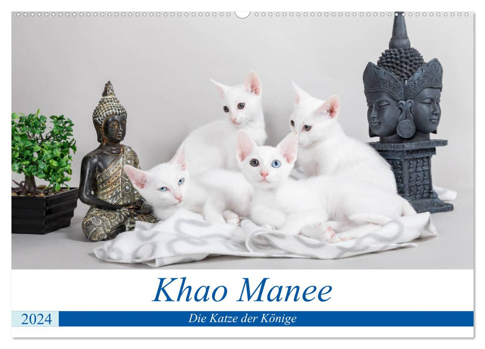 Khao Manee – Le Chat des Rois (Calendrier mural CALVENDO 2024) 