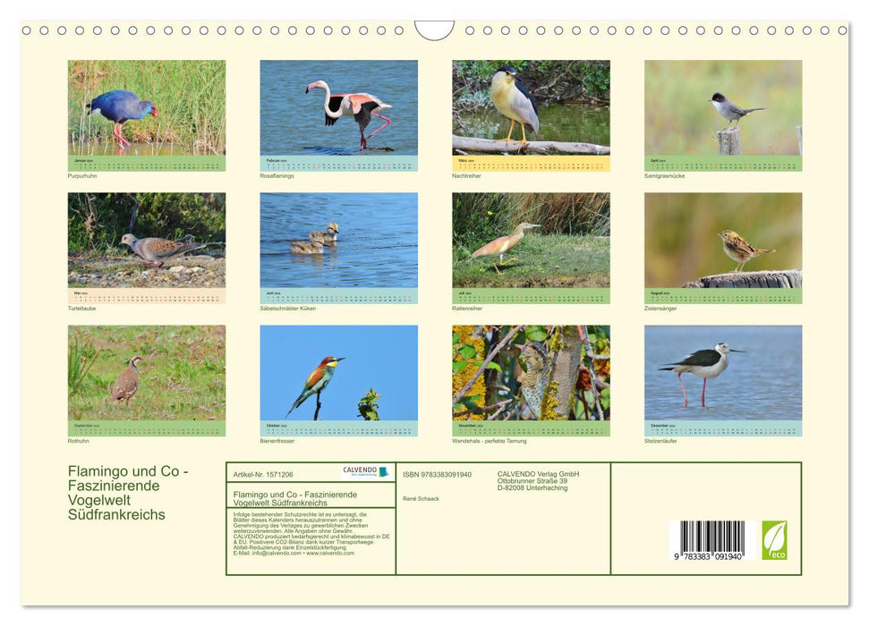 Flamingo und Co - Faszinierende Vogelwelt Südfrankreichs (CALVENDO Wandkalender 2024)