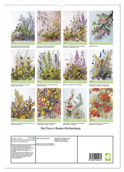 Die Flora in Baden-Württemberg (CALVENDO Premium Wandkalender 2024)
