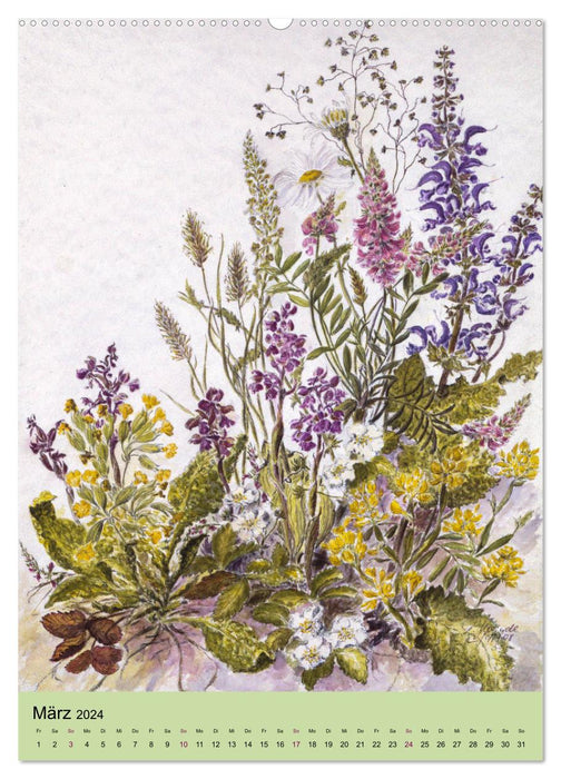 La flore du Bade-Wurtemberg (Calendrier mural CALVENDO Premium 2024) 