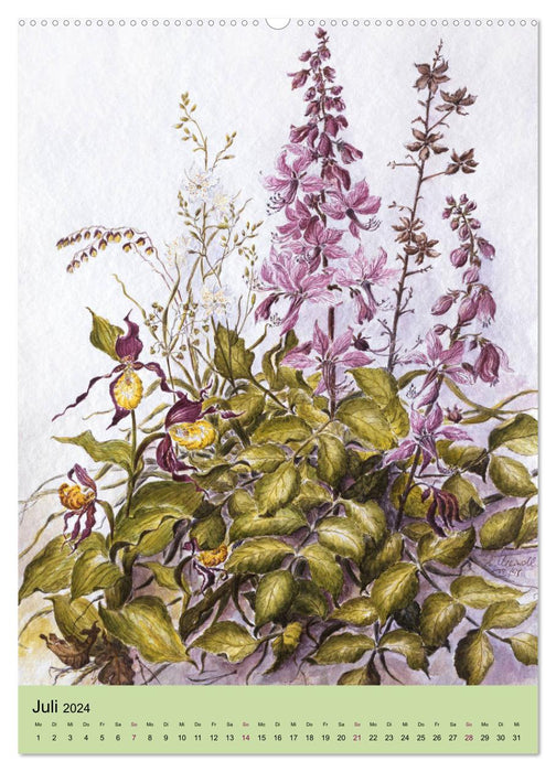 La flore du Bade-Wurtemberg (Calendrier mural CALVENDO Premium 2024) 