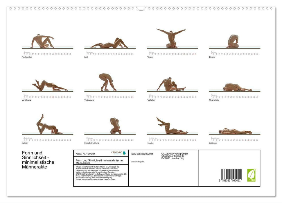 Form und Sinnlichkeit - minimalistische Männerakte (CALVENDO Premium Wandkalender 2024)