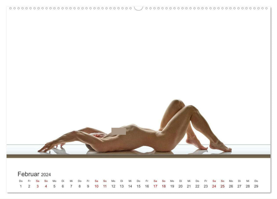 Forme et sensualité - nus masculins minimalistes (Calendrier mural CALVENDO Premium 2024) 
