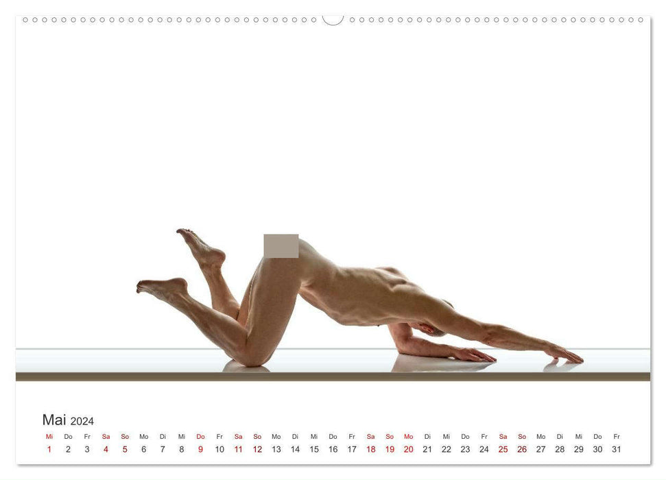 Form und Sinnlichkeit - minimalistische Männerakte (CALVENDO Premium Wandkalender 2024)