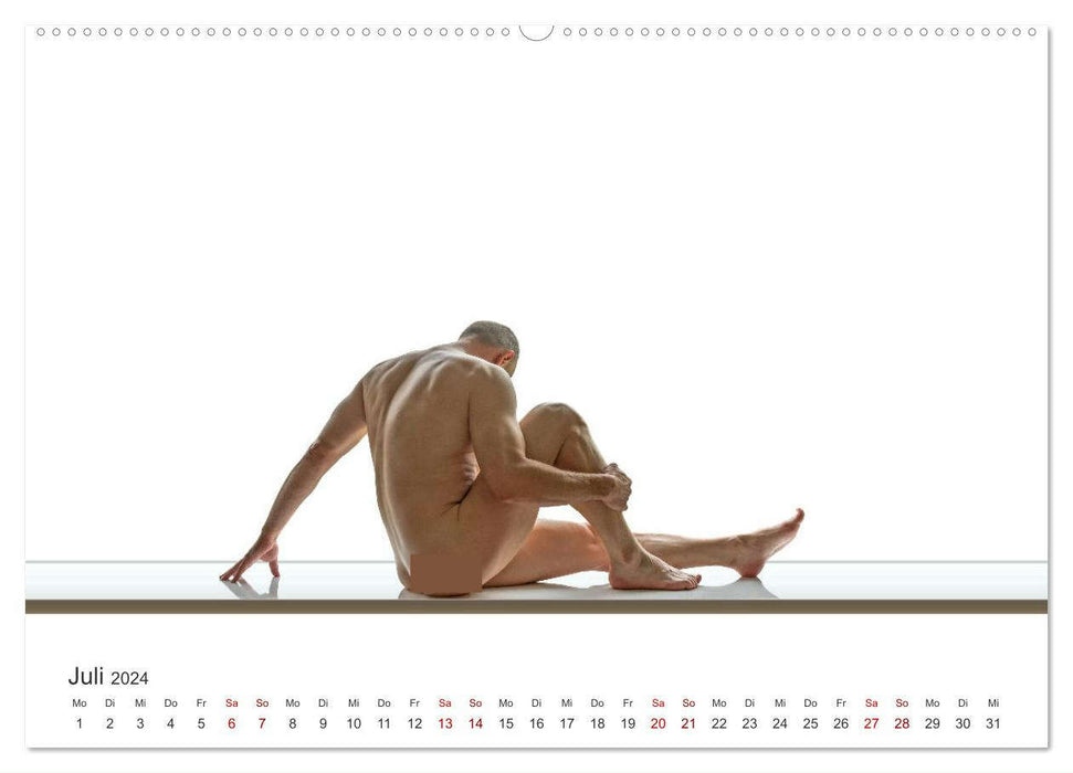 Forme et sensualité - nus masculins minimalistes (Calendrier mural CALVENDO Premium 2024) 