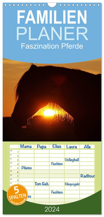 Fascination pour les chevaux (Agenda familial CALVENDO 2024) 