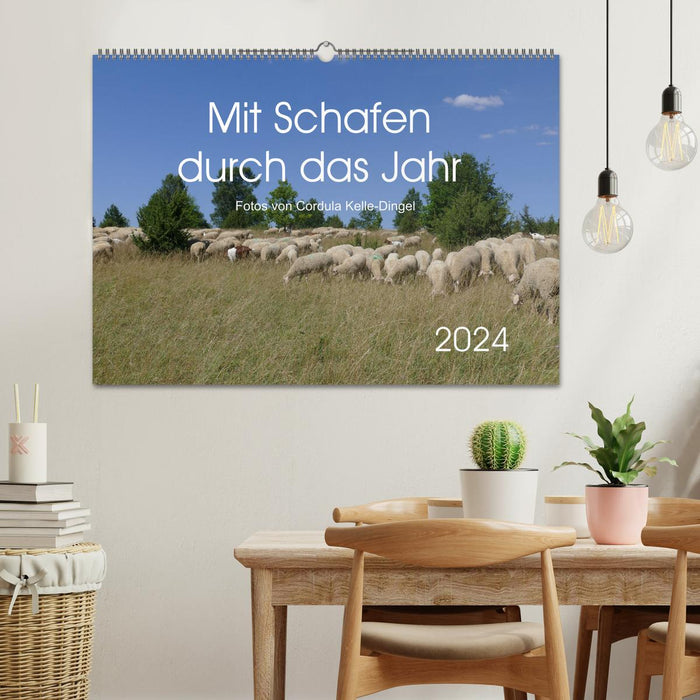 Mit Schafen durch das Jahr (CALVENDO Wandkalender 2024)