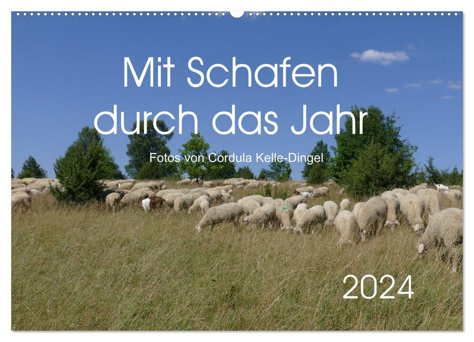 Mit Schafen durch das Jahr (CALVENDO Wandkalender 2024)