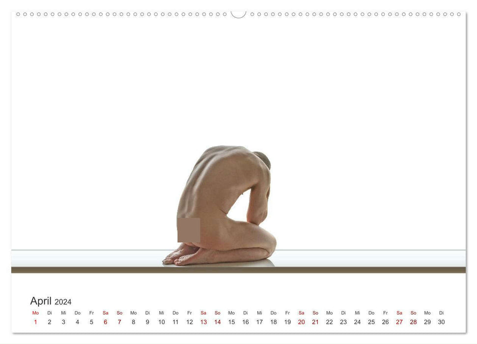 Form und Sinnlichkeit - minimalistische Männerakte (CALVENDO Wandkalender 2024)