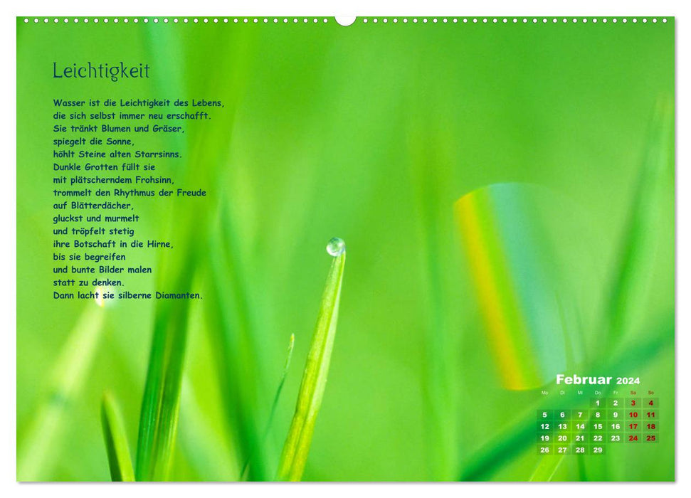Lichtblicke für Auge und Seele - Der Kalender (CALVENDO Premium Wandkalender 2024)