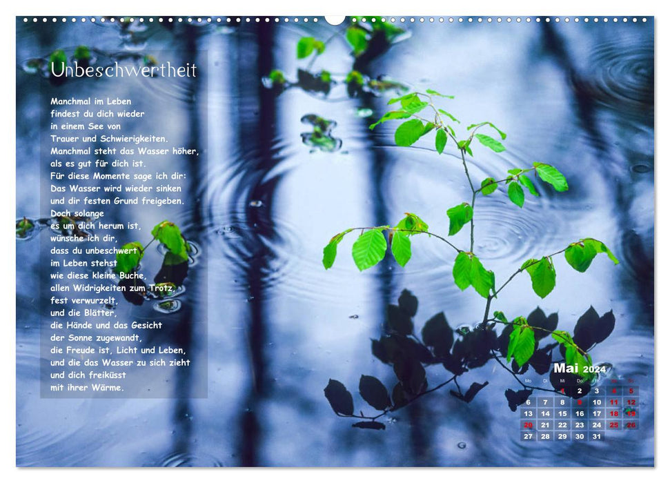 Lichtblicke für Auge und Seele - Der Kalender (CALVENDO Premium Wandkalender 2024)