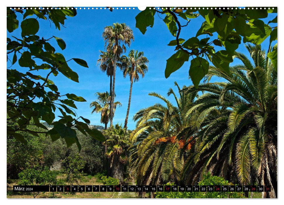 Zauberhafte Riviera - Die Hanbury Gärten (CALVENDO Wandkalender 2024)