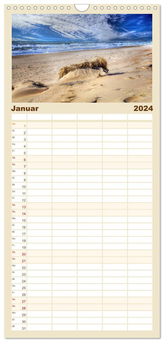Dunes de la mer du Nord (Agenda familial CALVENDO 2024) 