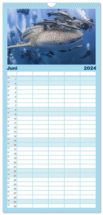 La fascination de la plongée - Le royaume de Neptune (Agenda familial CALVENDO 2024) 