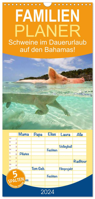 Des cochons en vacances permanentes aux Bahamas ! (Agenda familial CALVENDO 2024) 