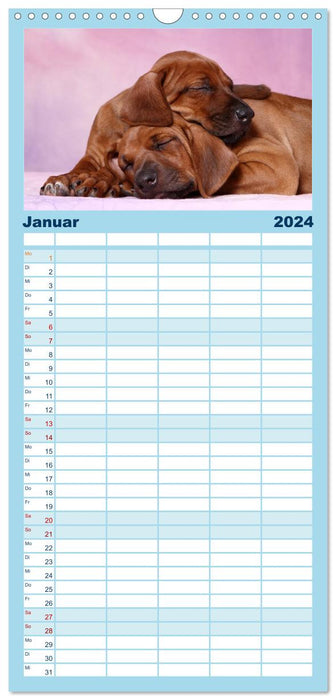 Fais de beaux rêves 2024 - chiots endormis (Agenda familial CALVENDO 2024) 