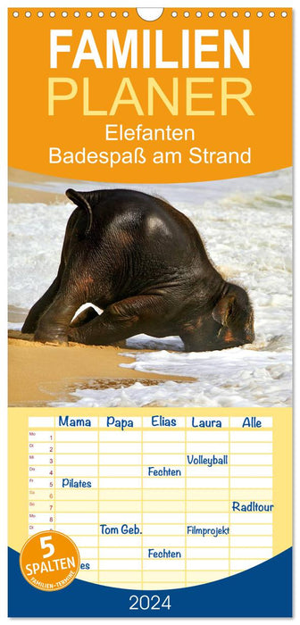 Éléphants. Plaisir de se baigner sur la plage (Agenda familial CALVENDO 2024) 