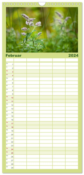 SAUVAGES, COMESTIBLES ET SAINS Plantes sauvages comestibles (Agenda familial CALVENDO 2024) 